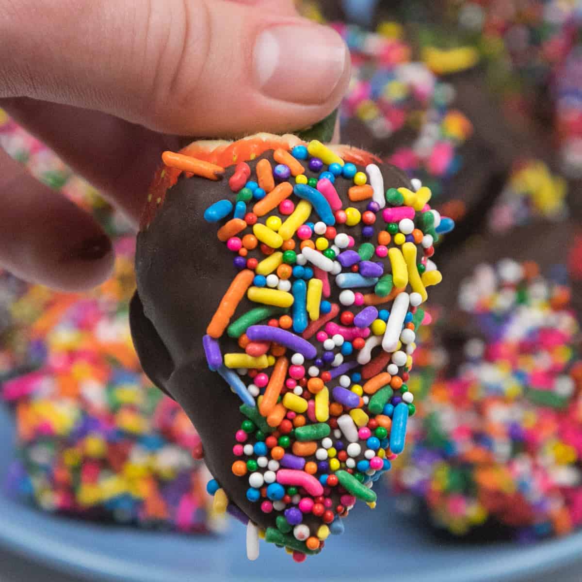 Chocolate Covered Strawberries with Sprinkles - Tamara Ray