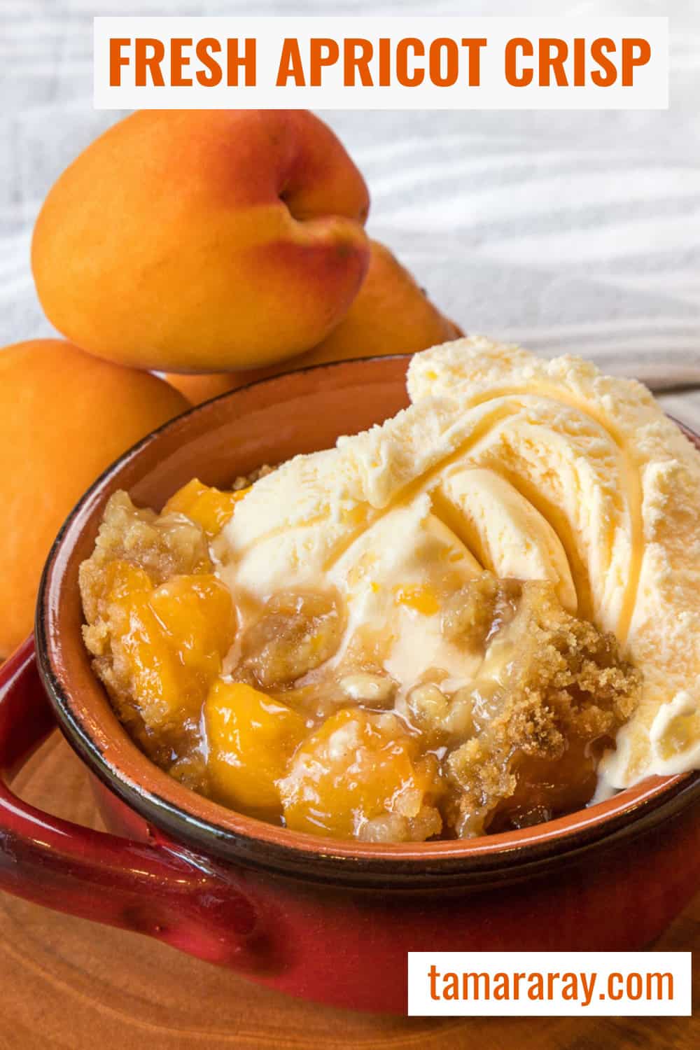 Tart apricot crisp in a bowl.