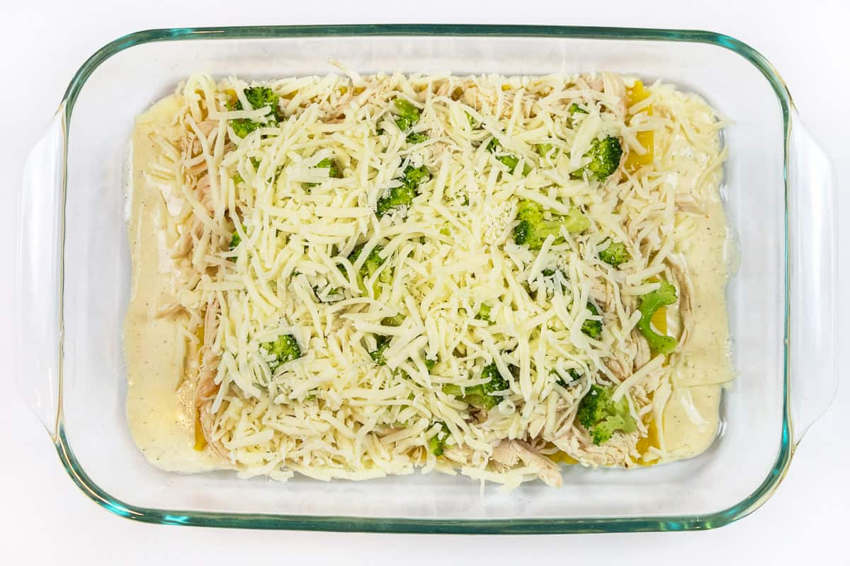 Add mozzarella cheese on top of the chicken.