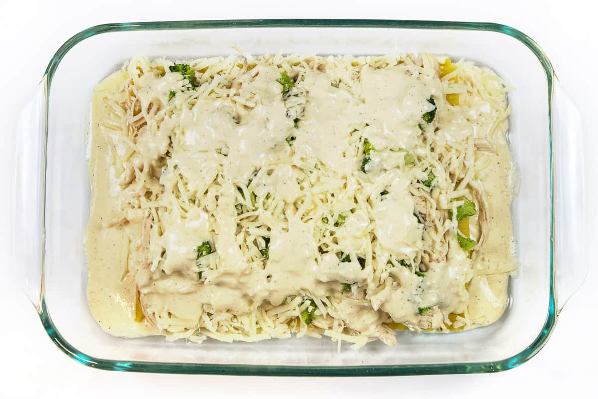 Add Alfredo sauce on top of the mozzarella cheese.