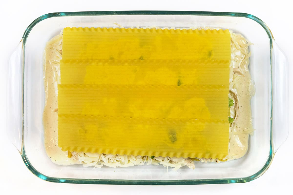 Add the last four lasagna noodles.