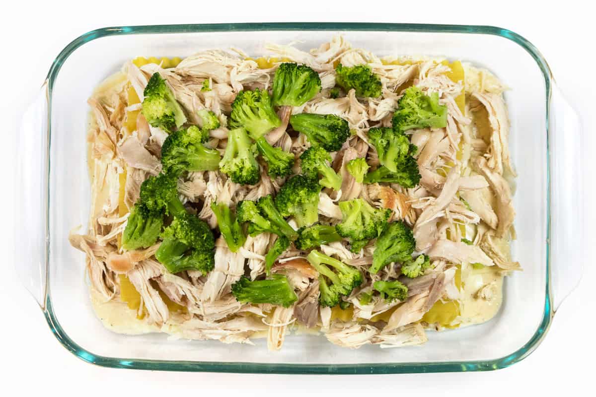 Shredded chicken and the broccoli on top of the lasagna noodles.