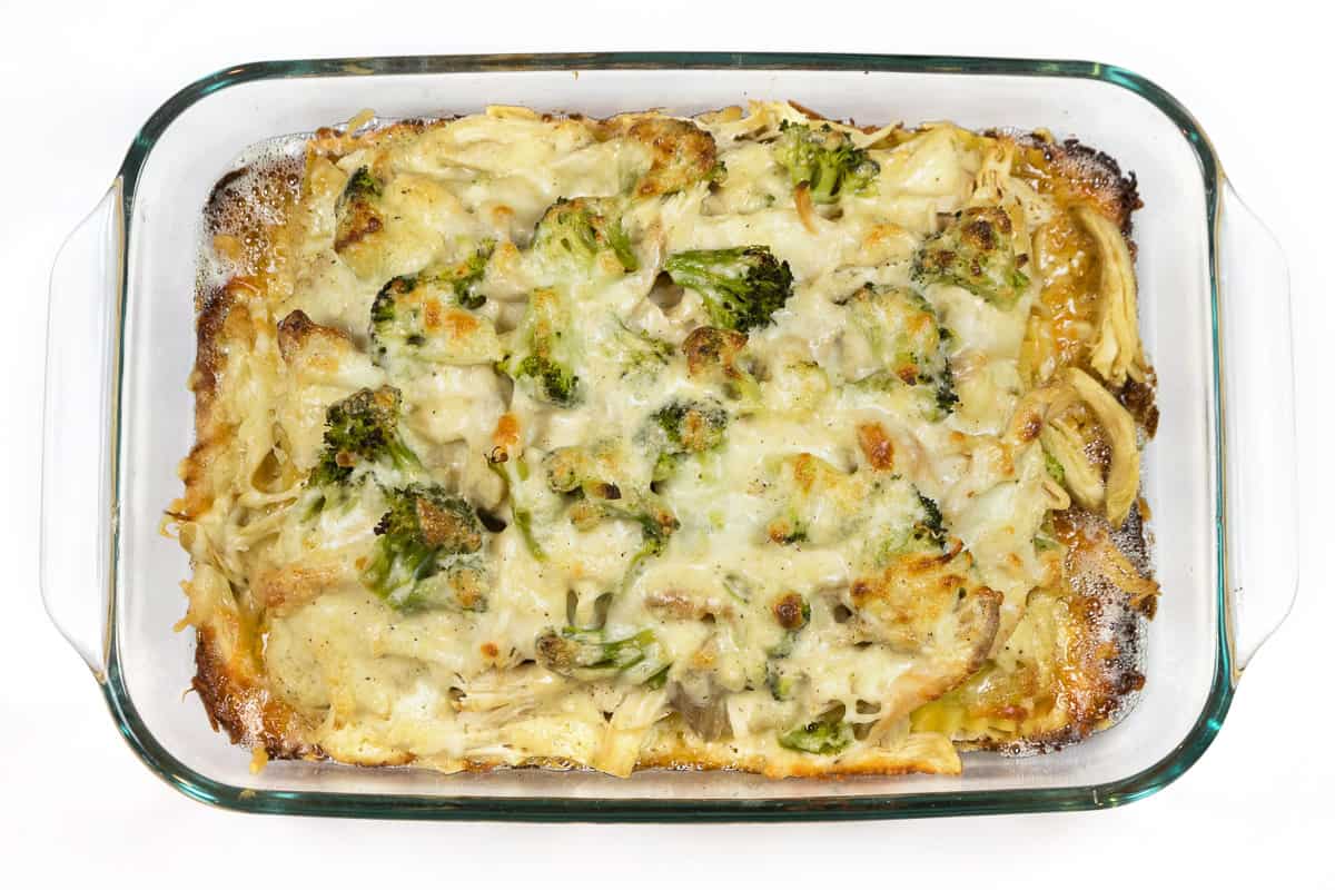 Chicken and Broccoli Lasagna baked in a casserole dish.