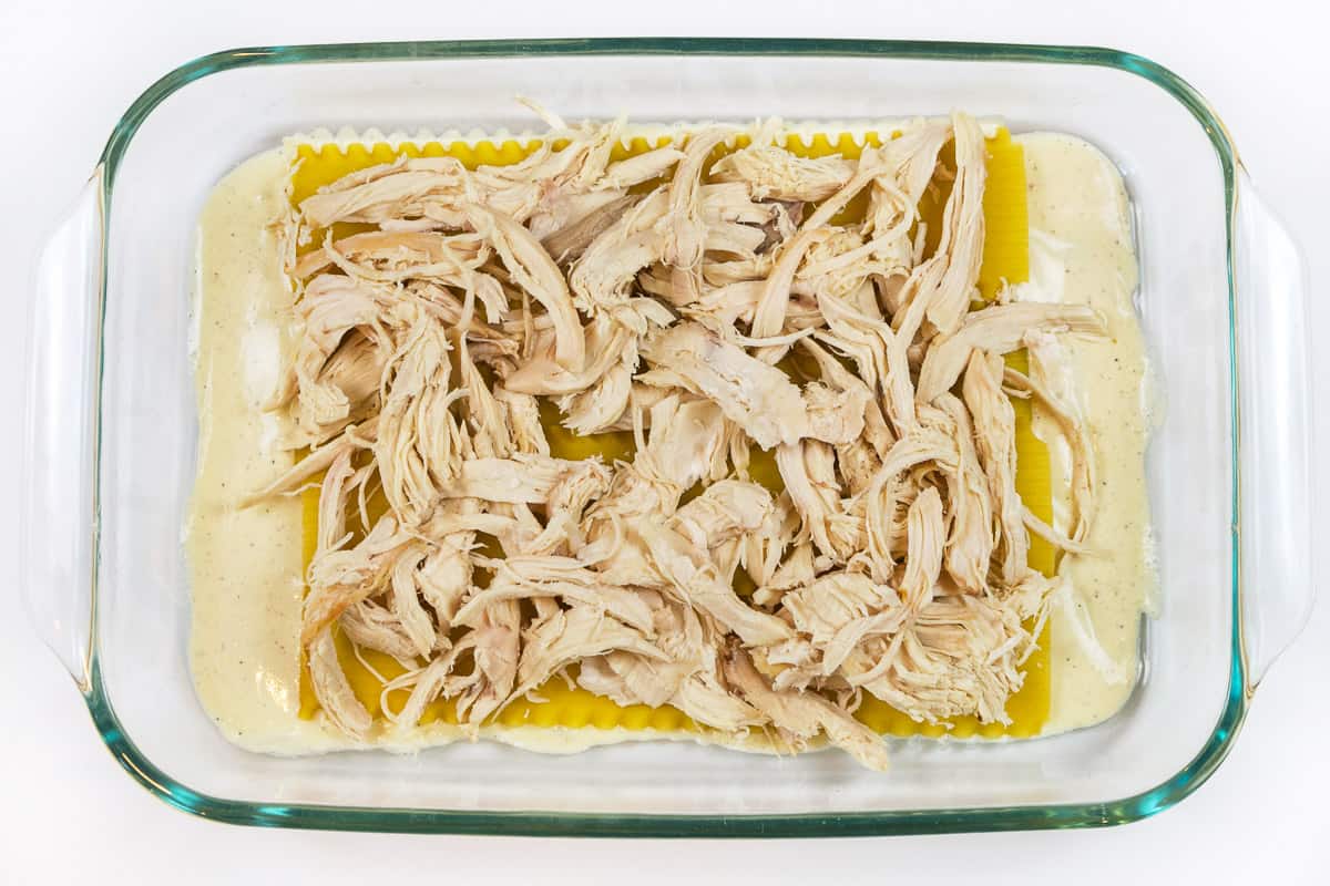 Add chicken on top of the lasagna noodles.