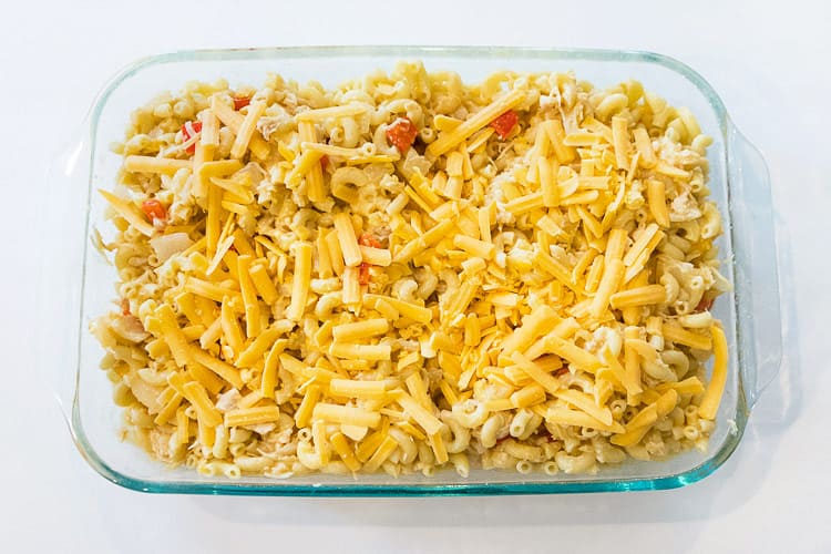 Unbaked cheesy canned chicken noodle casserole.