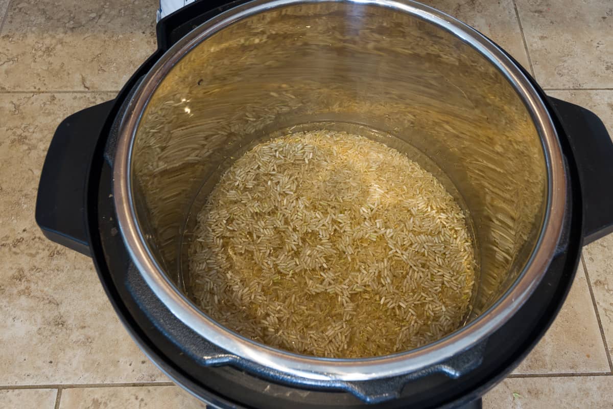 Brown rice and water in the instant pot.