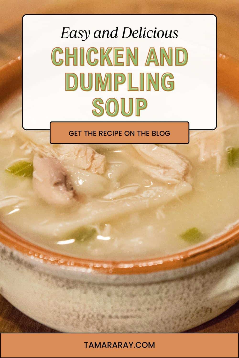 Chicken Soup Dumplings Pin