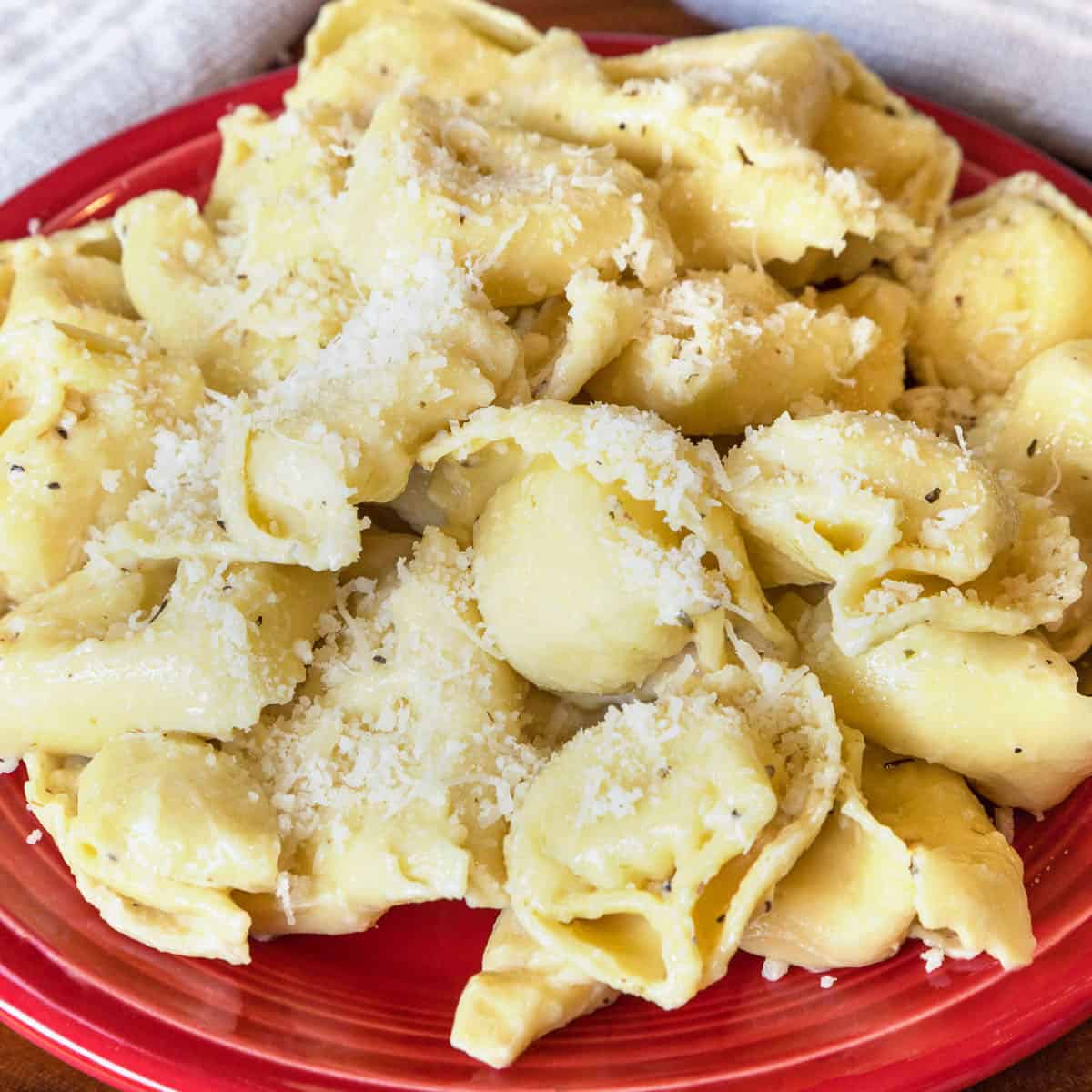 A plate of creamy cheese tortelloni.