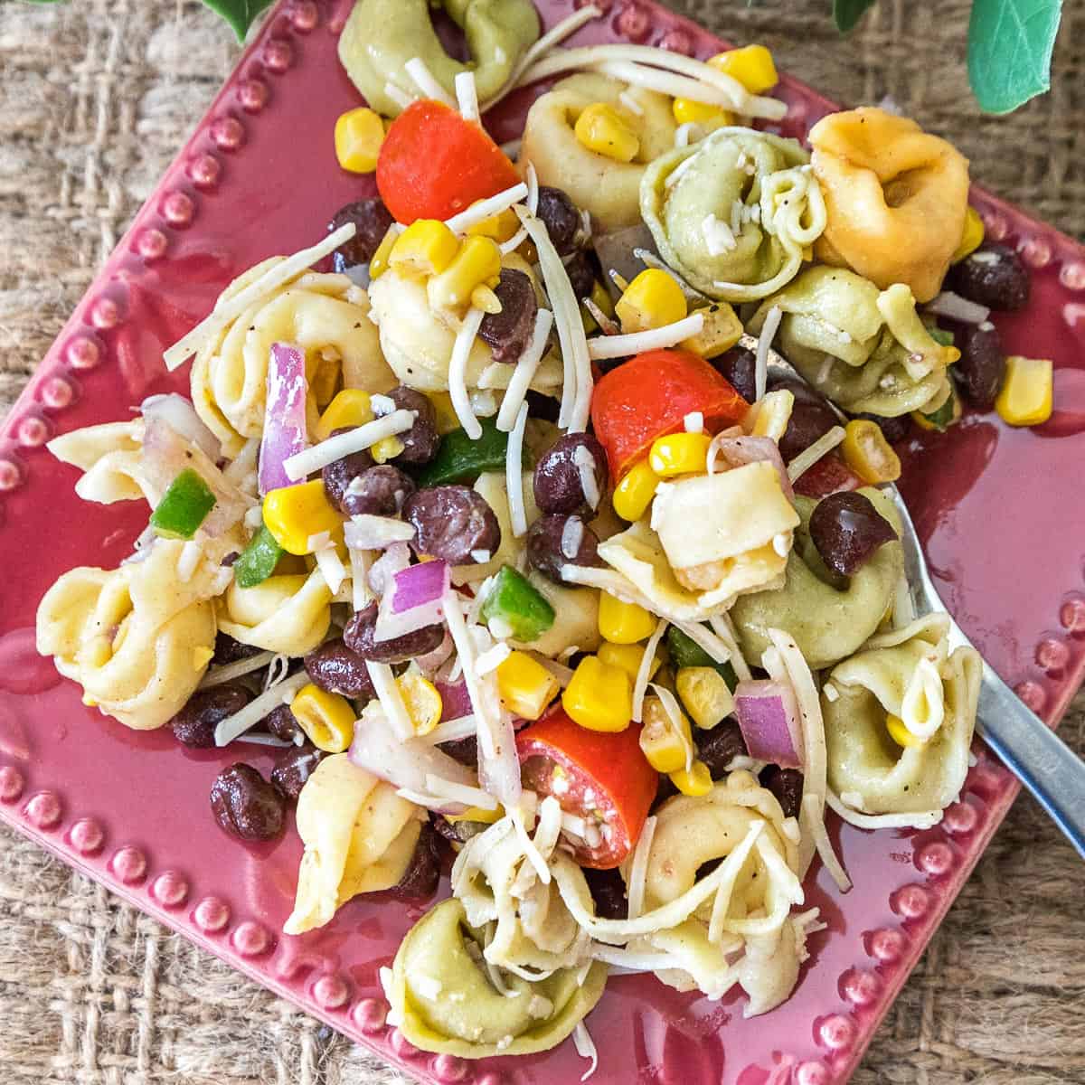 Tortellini pasta salad on a red plate with black beans, tomatoes, red onions, and parmesan cheese.