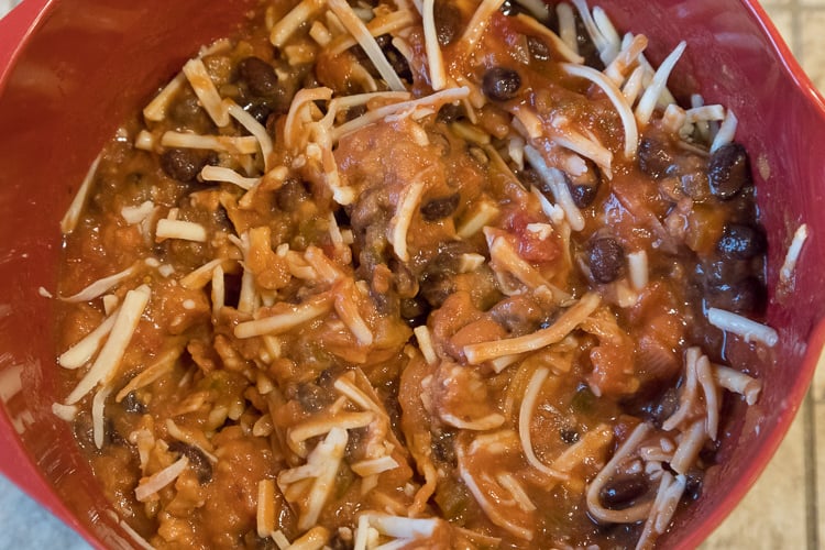 Mix all the ingredients with the salsa mixture.