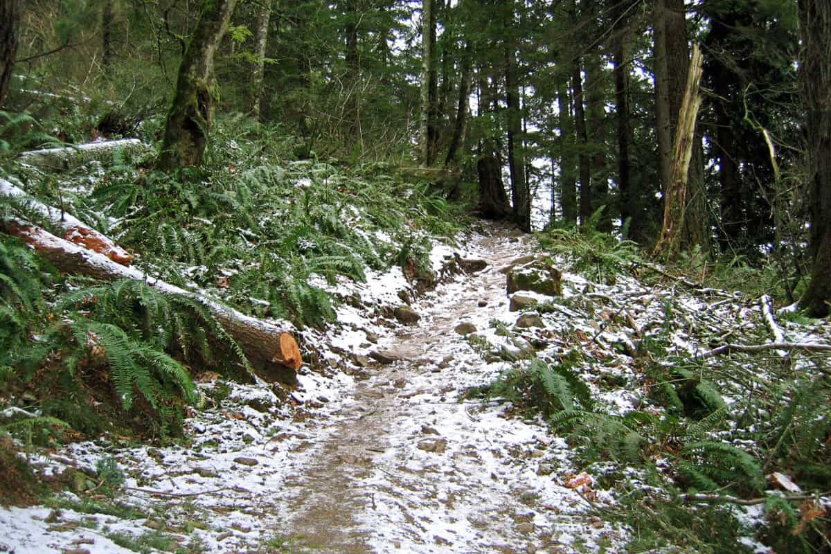 Mount Peak with snow on the trail.