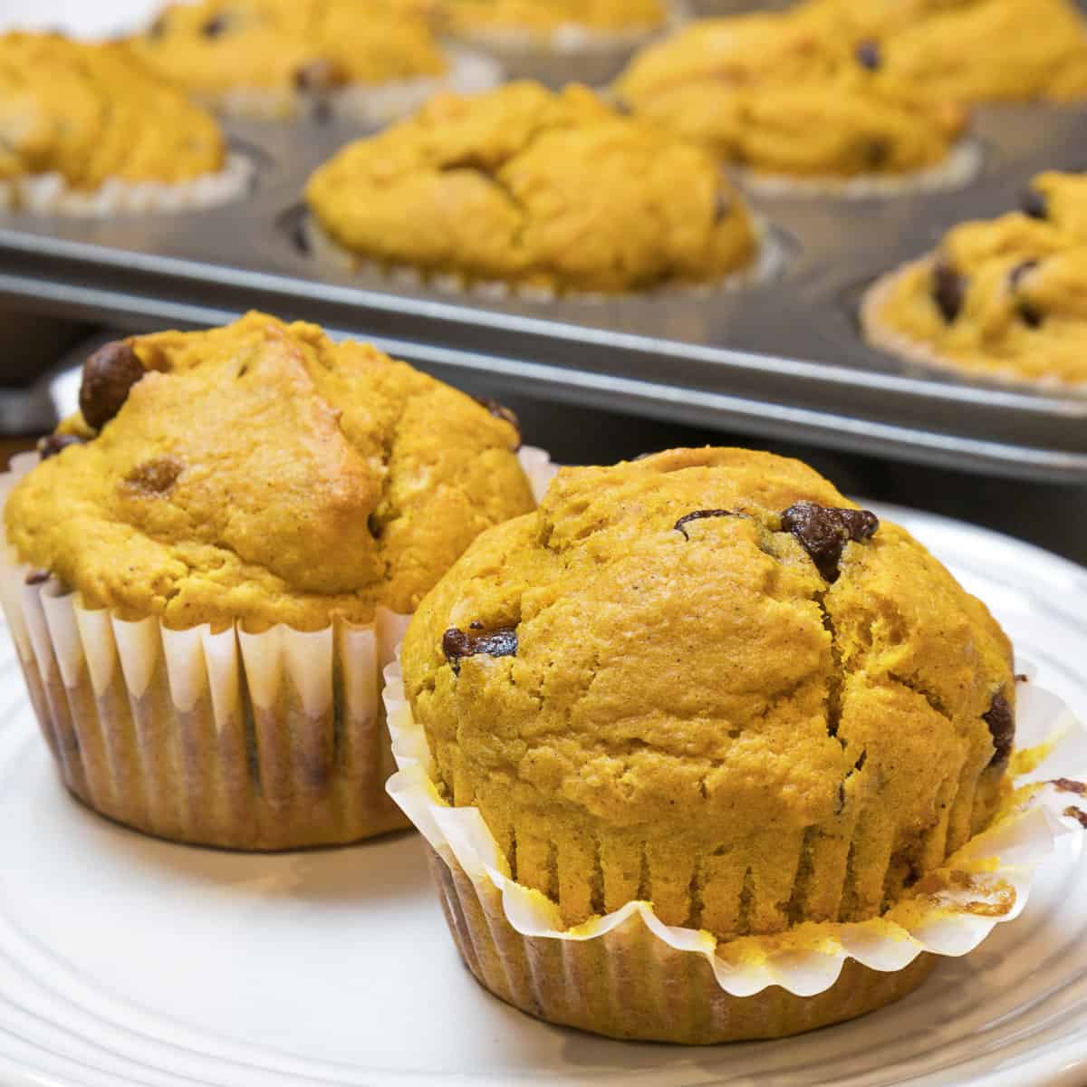 Easy Pumpkin Chocolate Chip Muffins