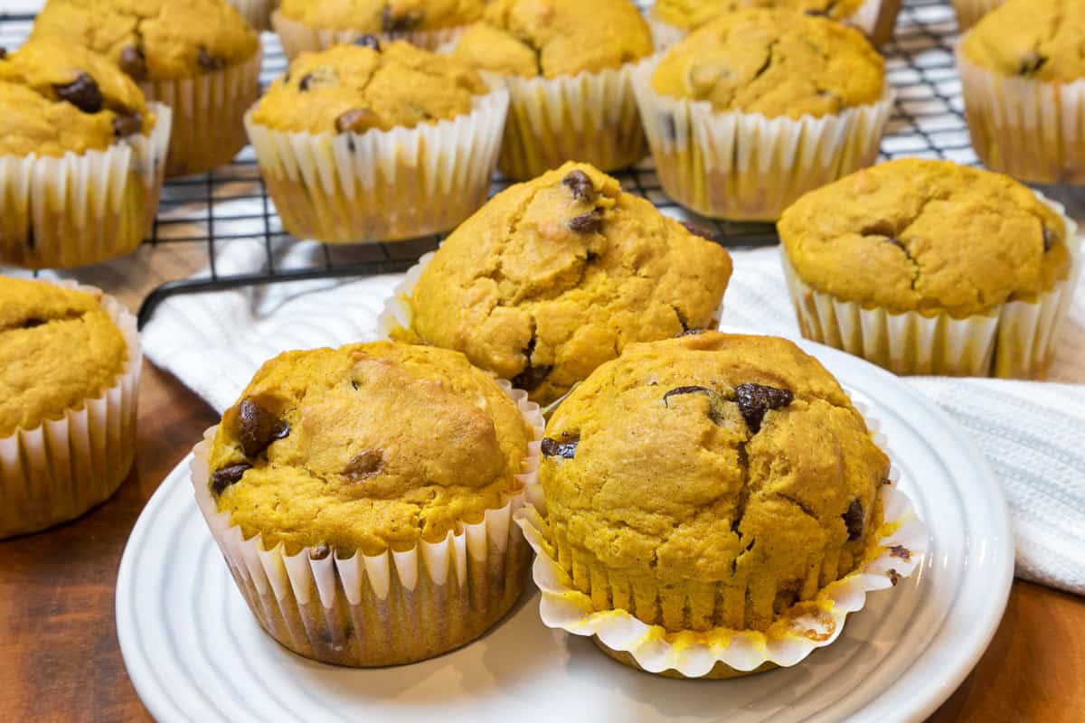 Pumpkin chocolate chip muffins on a plate.