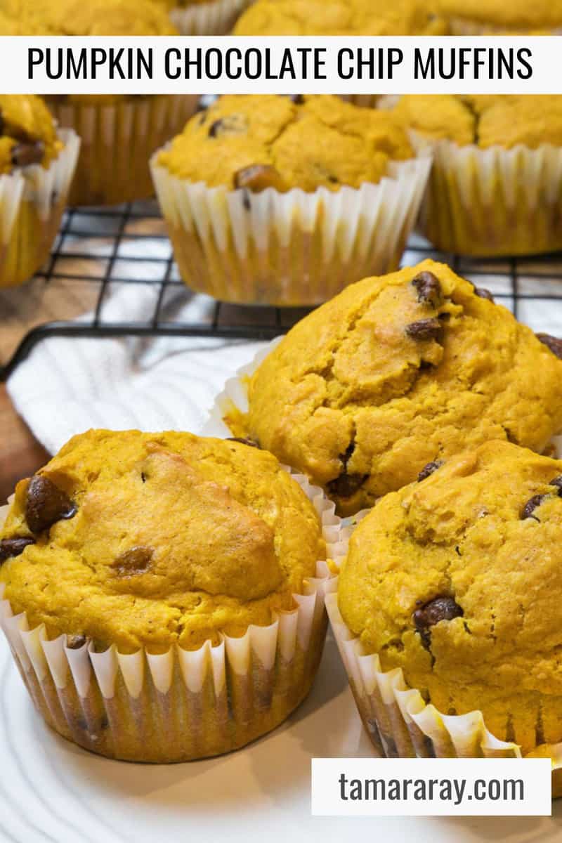 Pumpkin chocolate chip muffins on a plate.